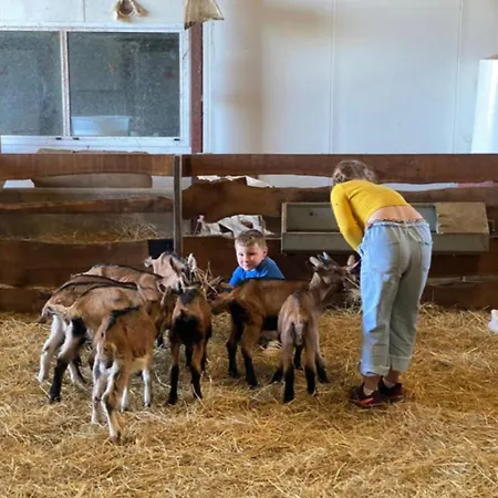 Casa vacanze Maison De Famille Saint-Lazare